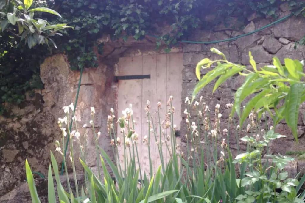 奥帕提亚Lovely Loft Studio W Patio & Garden公寓 外观 照片